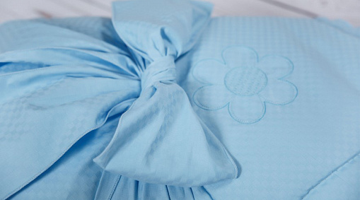 Конверт - одеяло на выписку из серии Ромашки, сезон весна, цвет голубой  